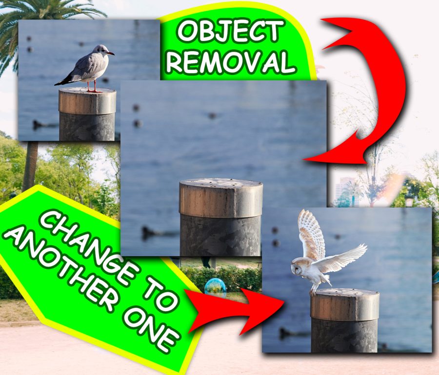 I will photoshop anything you want in 24 hours