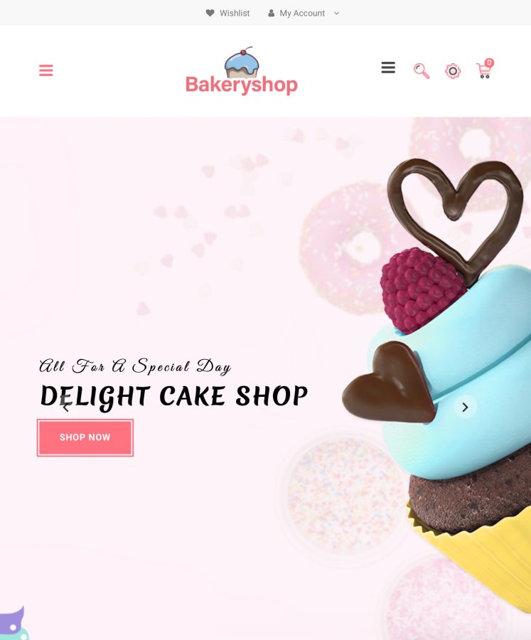 I will create an one product premium shopify store