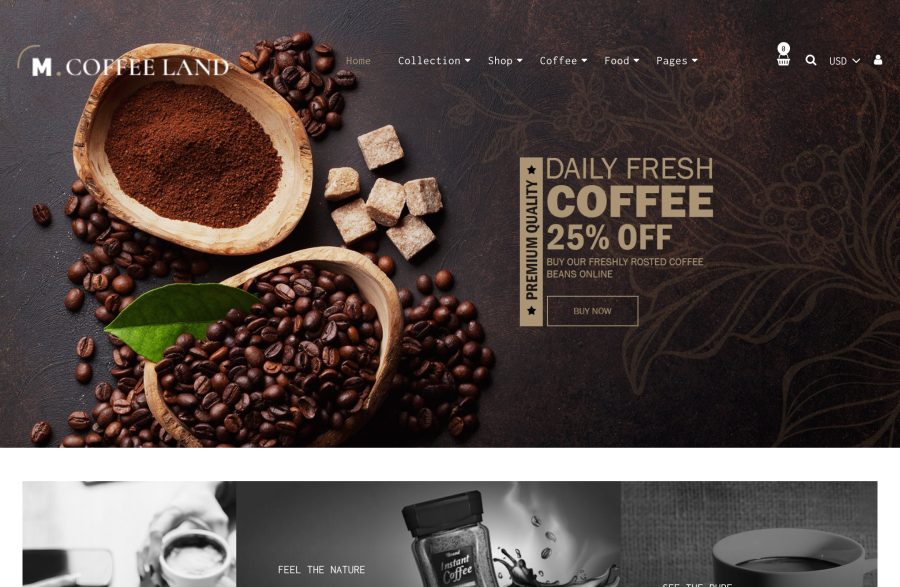 High Converting Full Shopify Store Development 