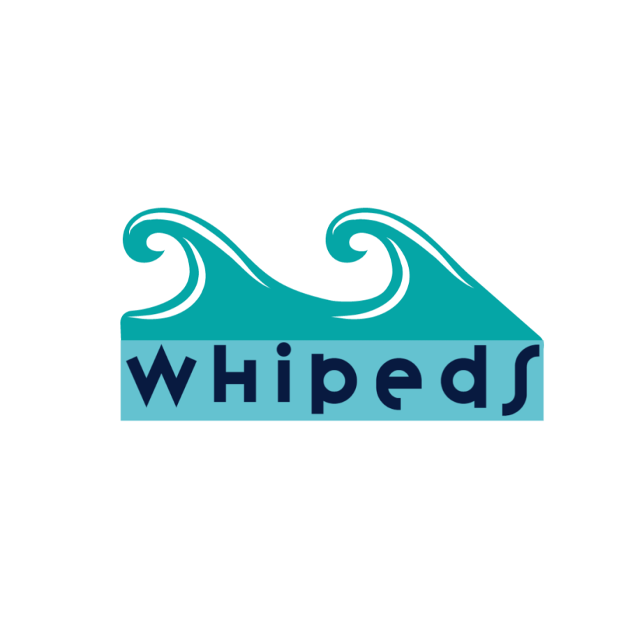 1 Professional and minimalist logos in 24h 