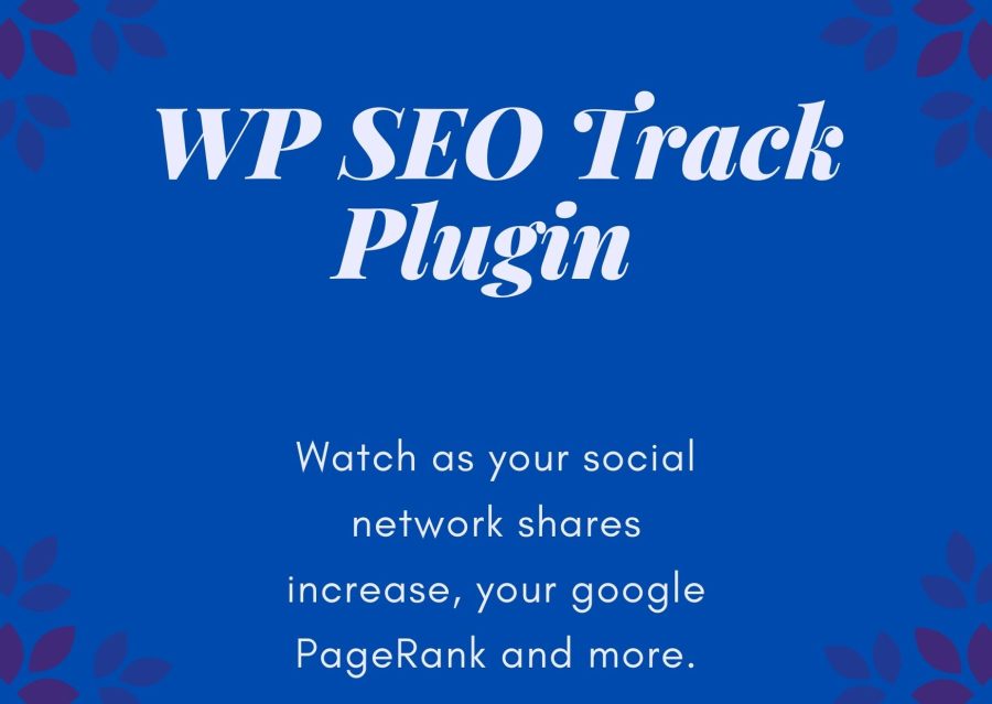 WP SEO Track PluginWith this simple plugin&nbsp;you can get the true insight on your web traffic efforts 