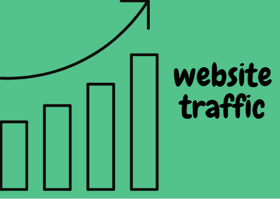 website traffic (targeted) worldwide