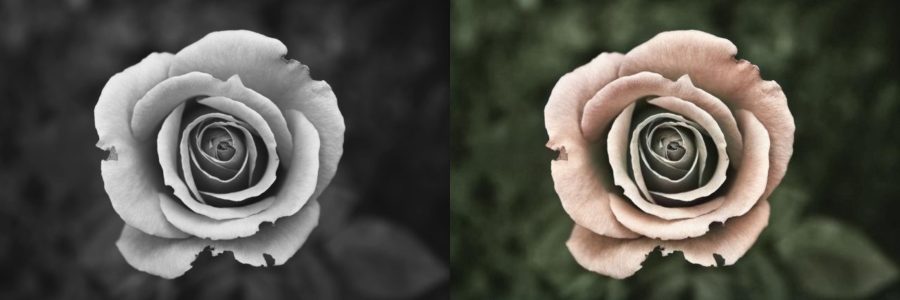 I will restore, fix old photos and colorize black and white photos