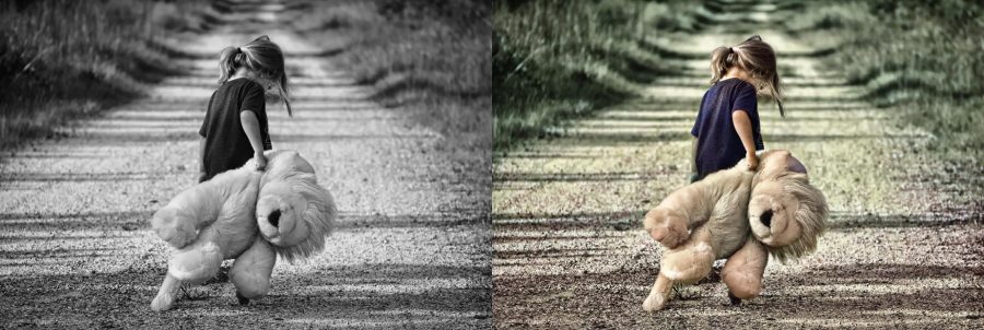 Color your black and white photos
