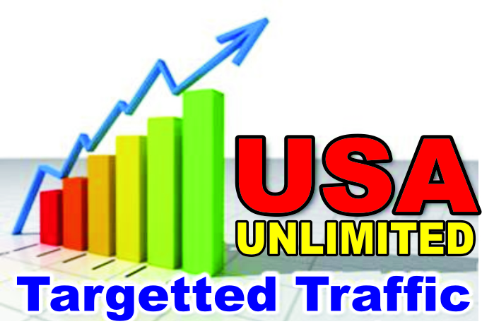 I WILL DRIVE TARGETED USA TRAFFIC TO YOUR WEBSITE, BLOG OR LINK