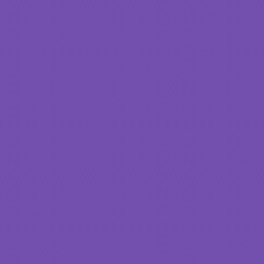 I will make professional 2D Animated Explainer Video for your Service