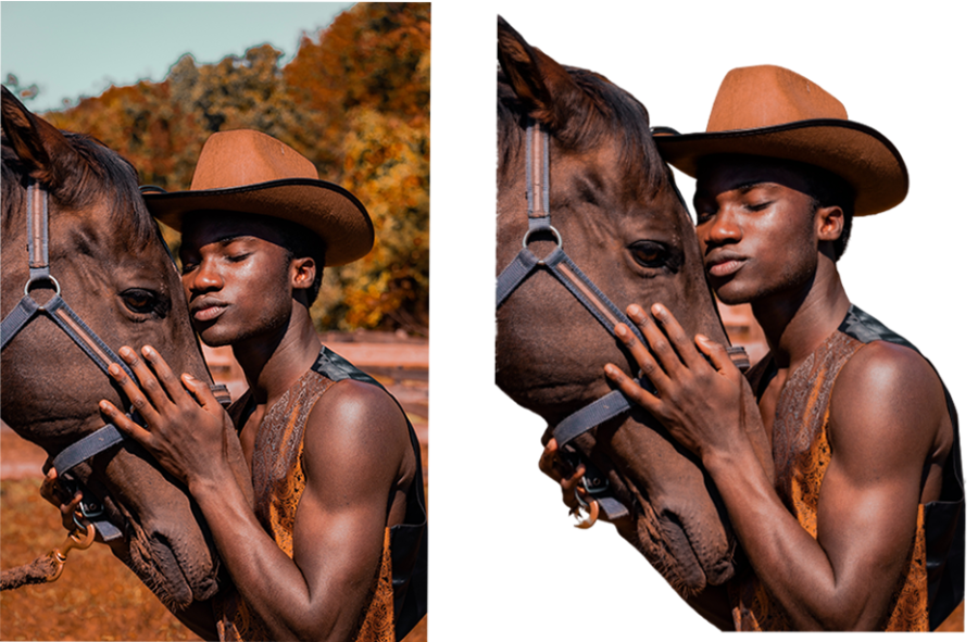 Professionally remove background, retouching and cropping for any image 