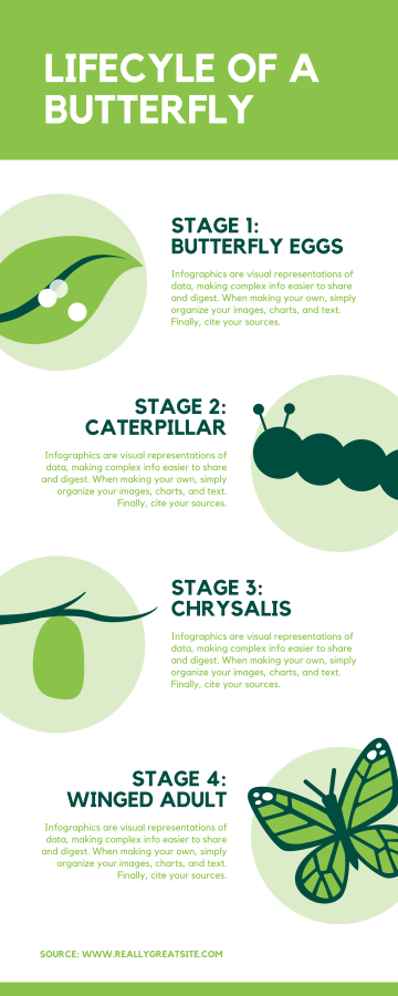 I will design professional and amazing infographics for you and your business