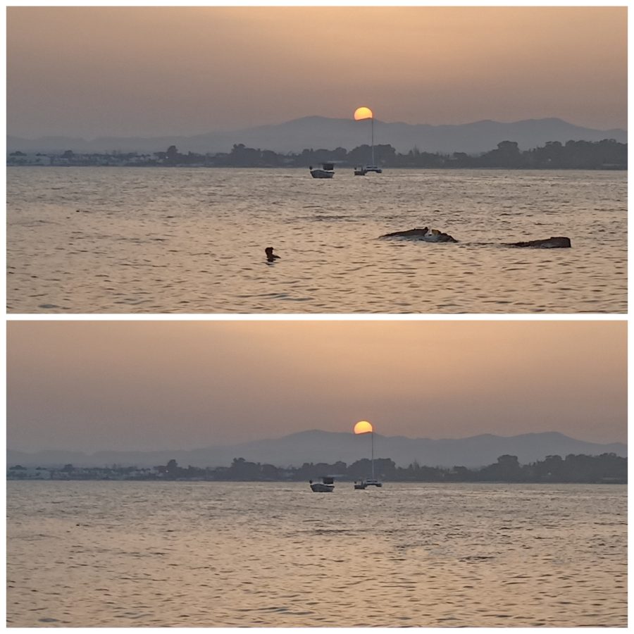Remove unwanted objects from any picture you want 