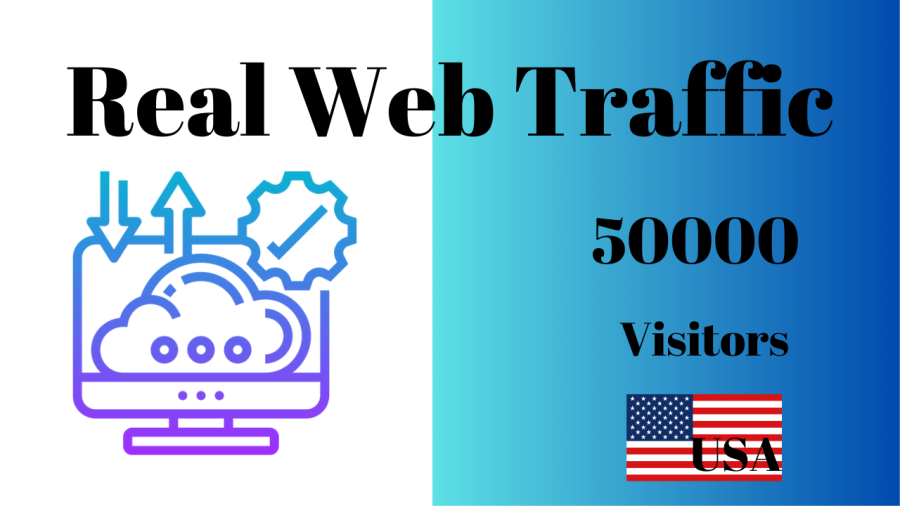 50000 USA Web Traffic from Google.com Organic Custom Keywords