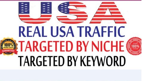 Real USA, traffic niche targeted from google 