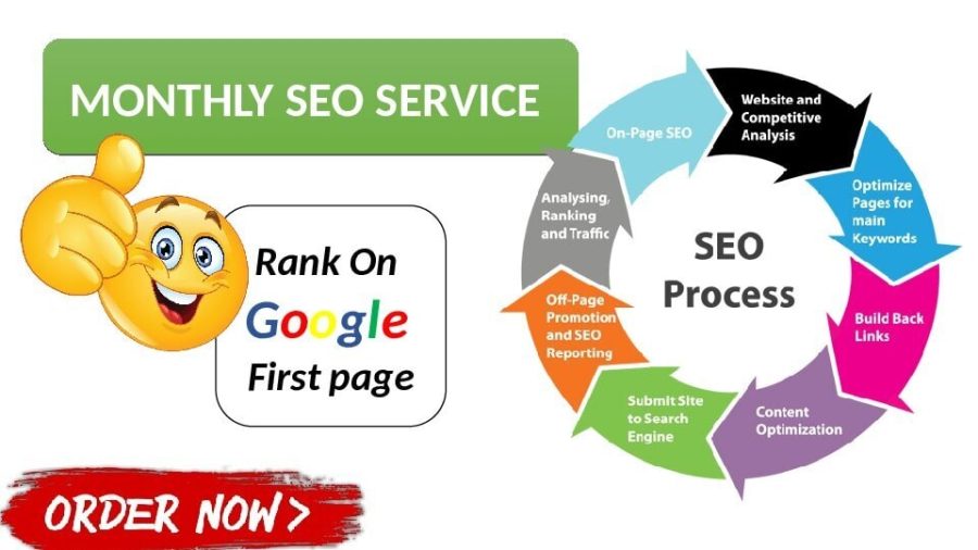 I will do monthly SEO service, improve traffic and boost your google rankings