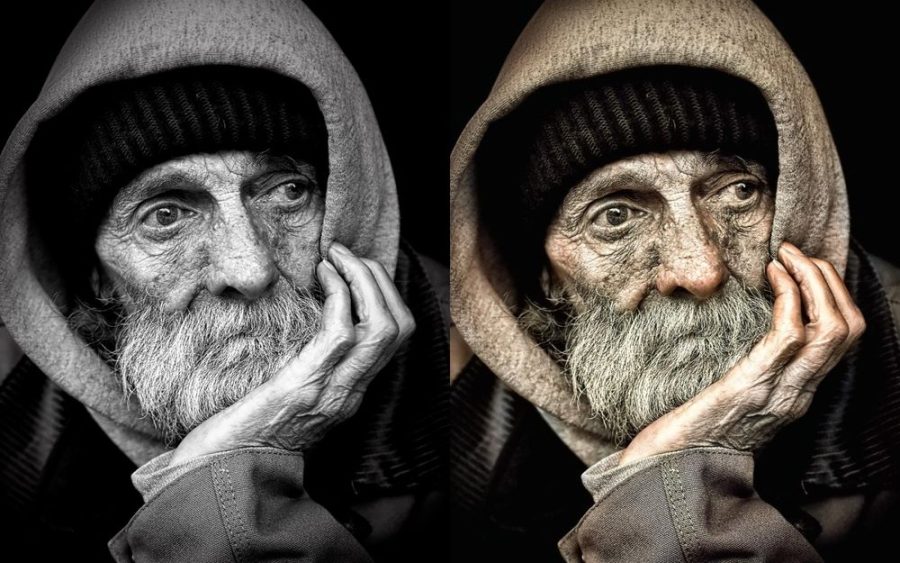 I will restore, touch up, repair, color your old photo.