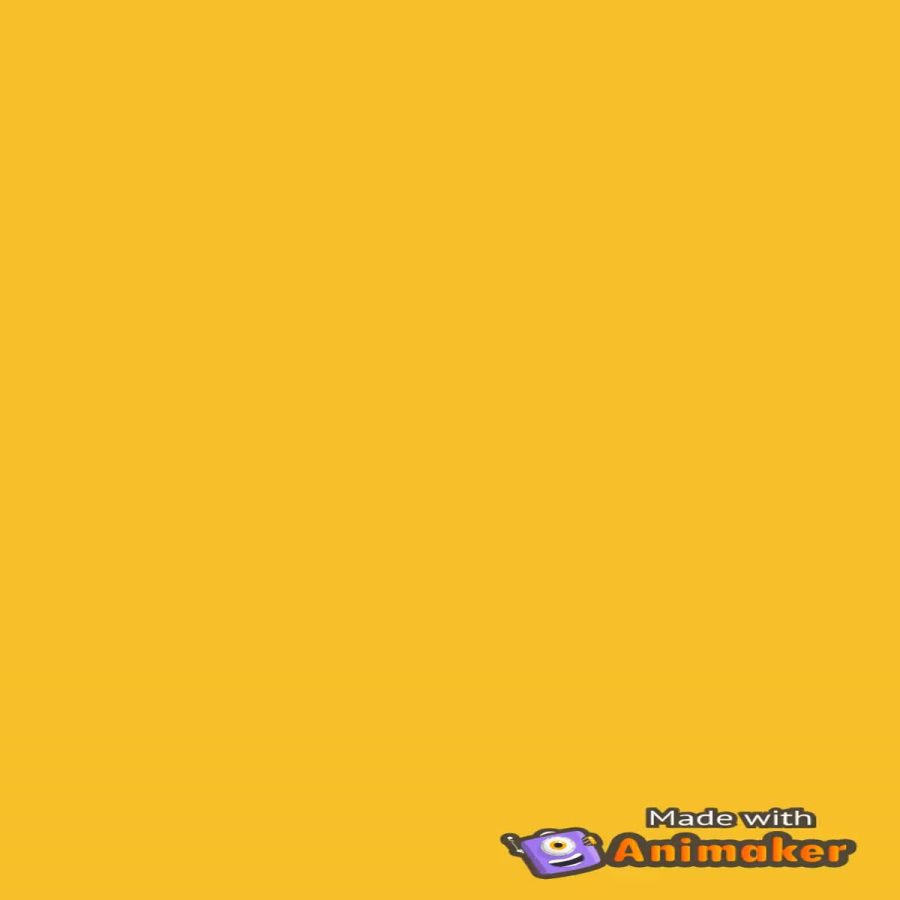 fitness animation video for buisness and logos(very helpful)