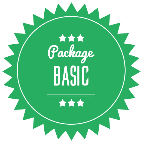 Complete Drop shipping Website with automatic process 