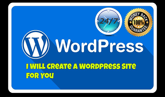 I will design or redesign responsive wordpress website