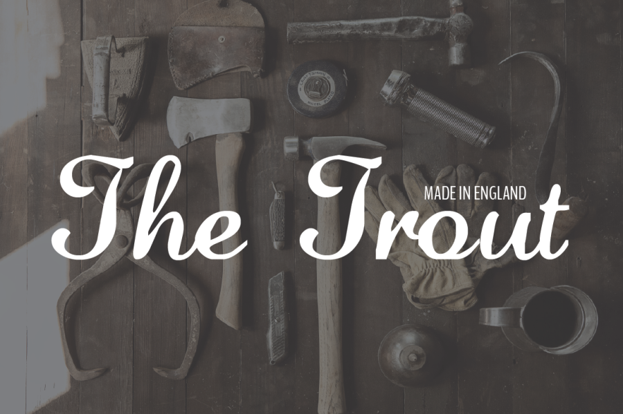 I will Design a Charming Handwritten Logo