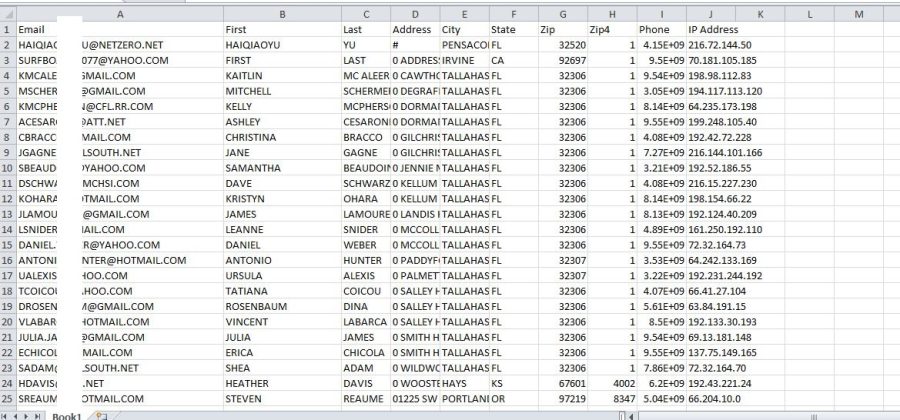 I will give email marketing database email list