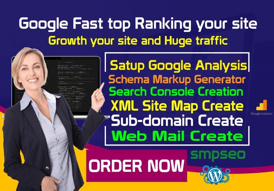 Satup google analysis schema markup other service