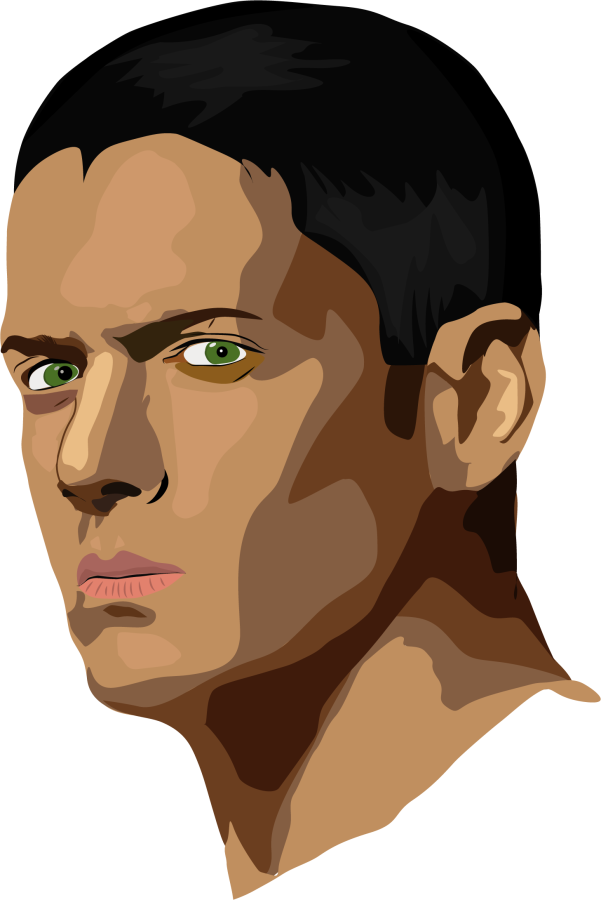 I will Draw Vector art for your photo