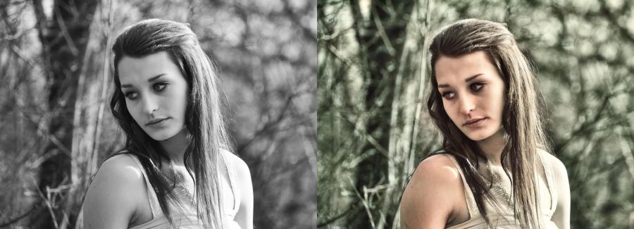 I will colorize your valuable black and white photos and repair damaged areas
