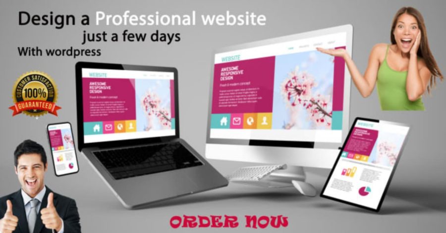 I will create wordpress website for any nich