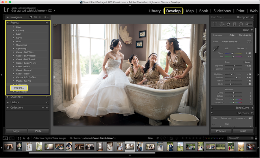 I will provide 1200+ Professional Lightroom Preset and 20+ Brushes Bundle