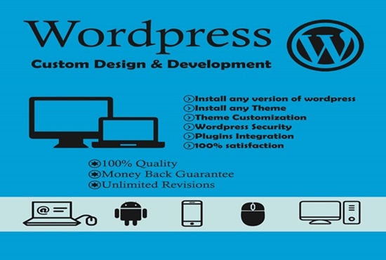 I will offer install wordpress theme setup demo and customize ,plugin within 24 hour