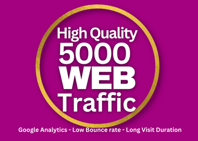 High Quality USA 5000+ web traffic google analytics low bounce rate 
