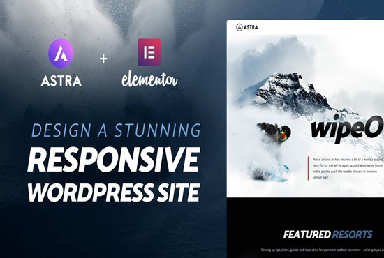 I will build your WordPress website using Astra and Elementor pro