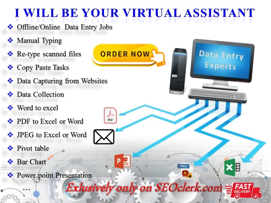 I Will Do Any Kind of Data Entry, Copy Paste, Pivot, chart and Typing Work for 2 hours
