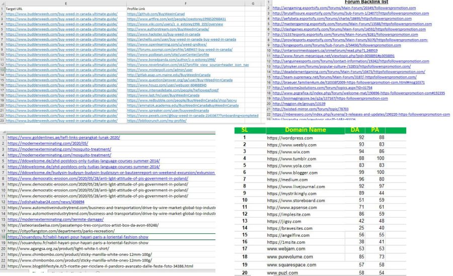 I Will Build High PR Quality Do follow Off Page SEO Backlinks