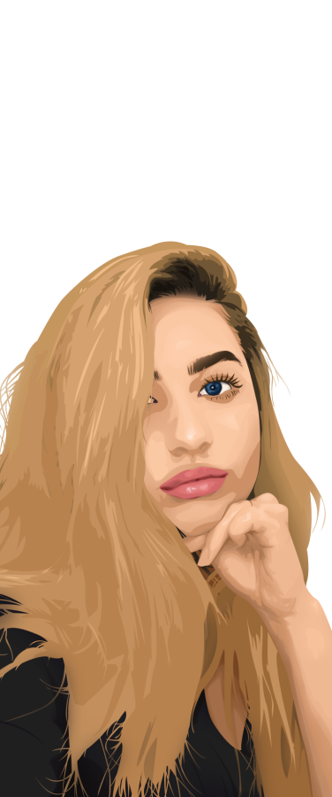 I'll create your vexel / cartoon / vector version 