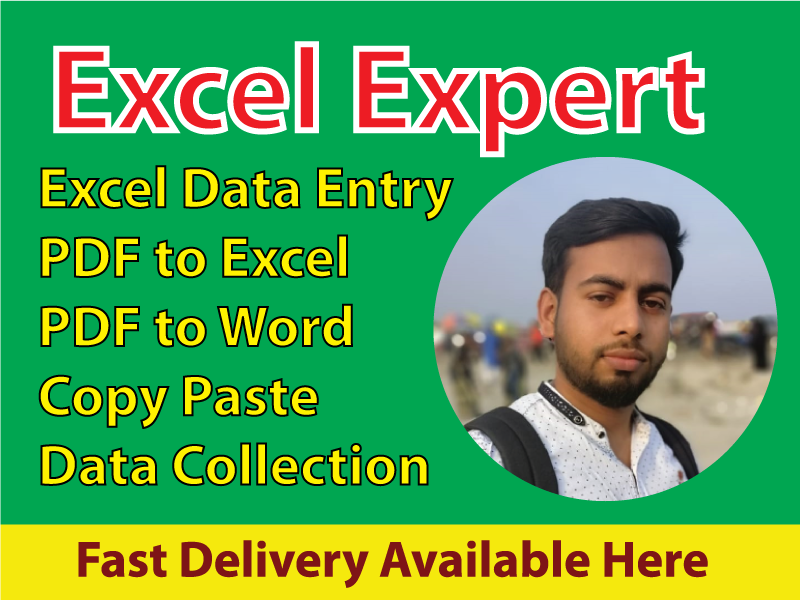 I will professionally do excel data entry,typing, copy paste, data entry 