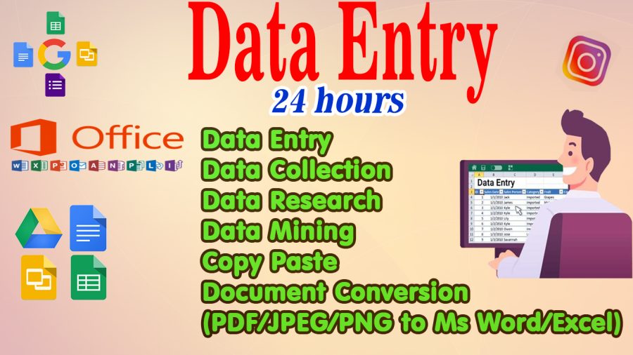 I will excel data entry, copy paste, typing, data entry