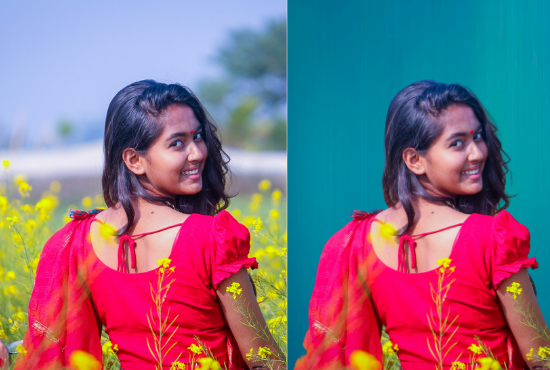 I will do Background removal superfast for 50 images