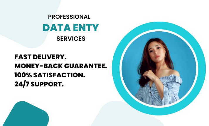 I will provide professional data entry, data collection, data mining services