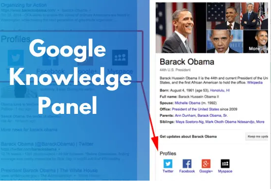 I will create google knowledge panel