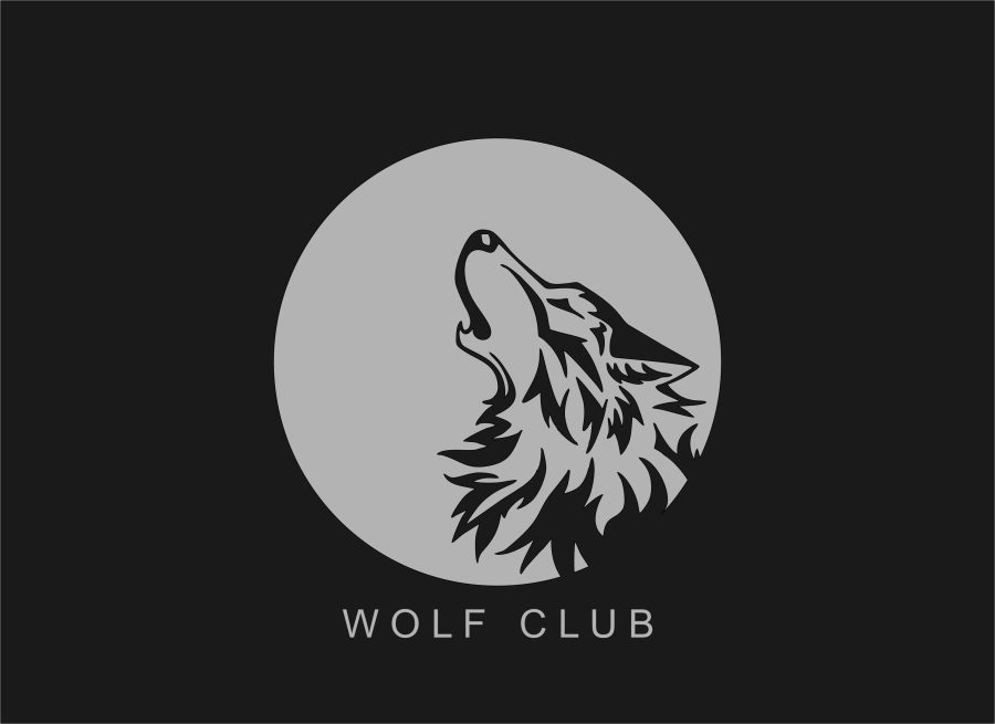 Minimalist Logo Design for your business and company within 4 hours one day service 