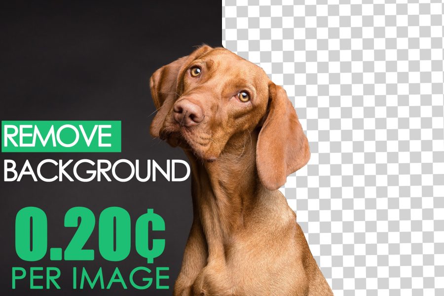 I will remove background profesionally with photoshop
