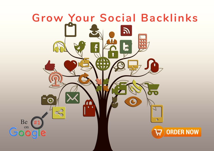 I will create manually 100+ social media profiles seo backlinks