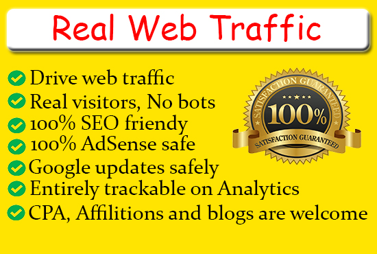 I will drive organic web traffic