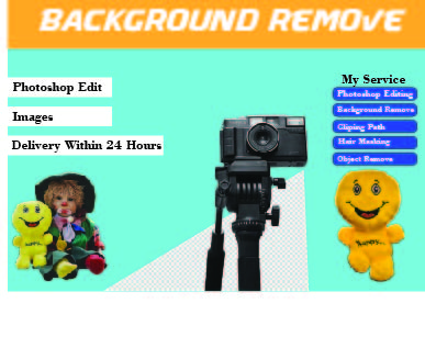 I will do background removal and transph 