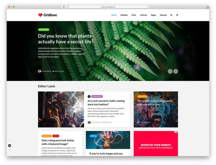 I will create professional responsive wordpress website or blog with SEO