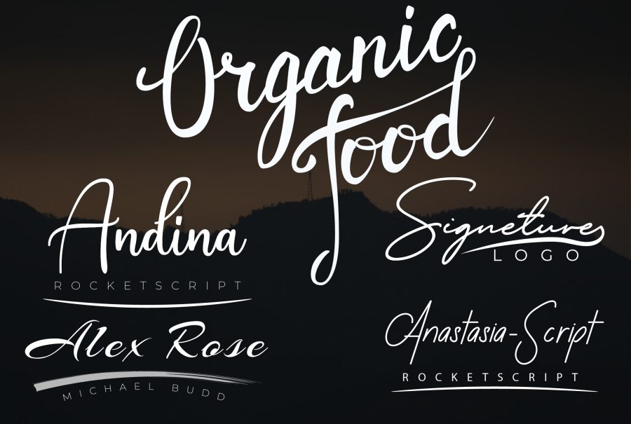 I will do professional signature logo and luxury elegant feminine logo