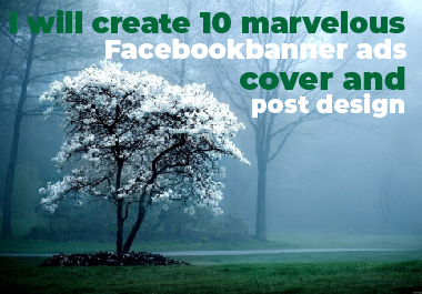 I will create 10 marvelous Facebook banner ads, cover and post design 