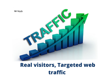 I will provide real visitors, targeted web traffic