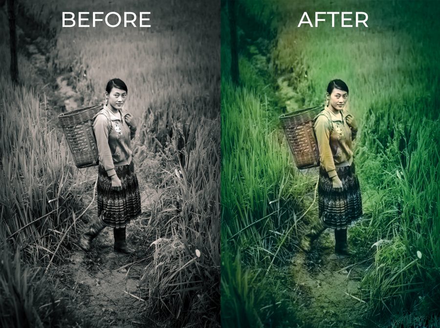 bulk resize,image crop,change background,old to new color,photoshop any editing