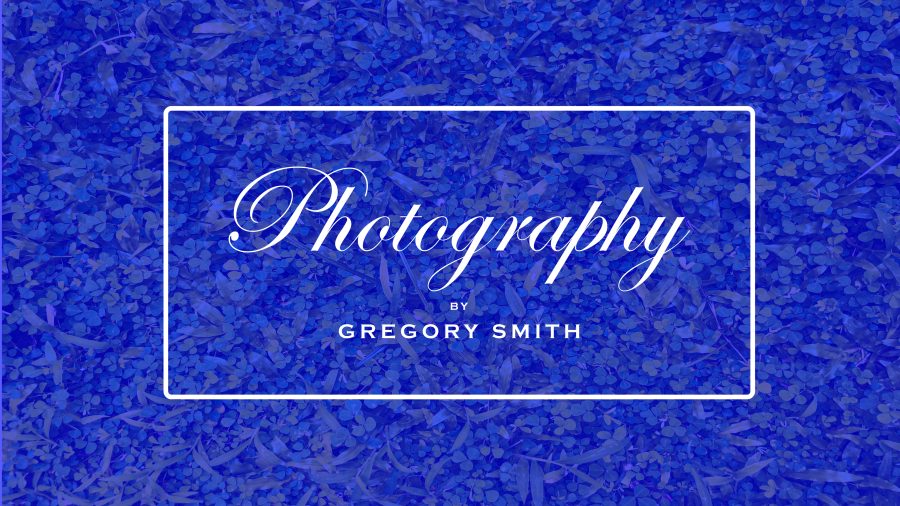 I will design hand drawn fancy real estate signature logo and branding logo unique logo.