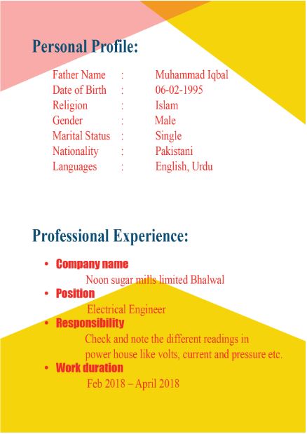 Professional CV & Resume design 